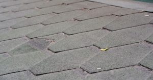 3 Ways Algae Affects Your Roof
