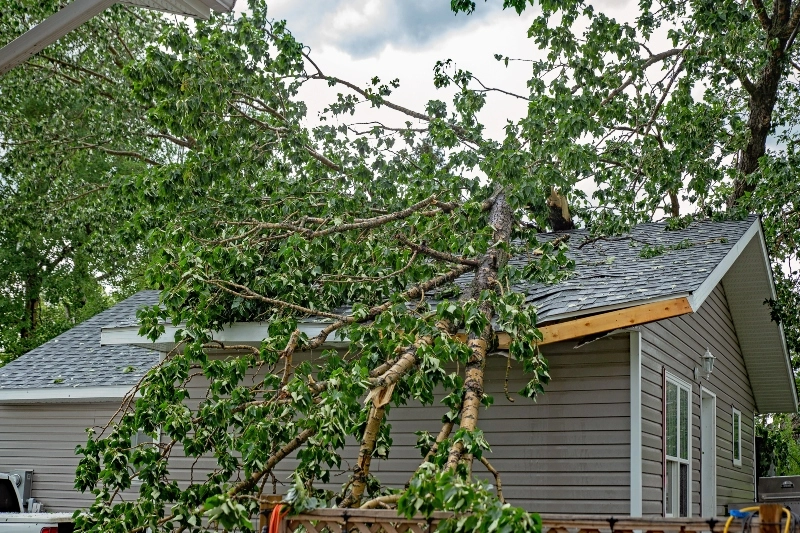 Storm Damage Roof Inspection