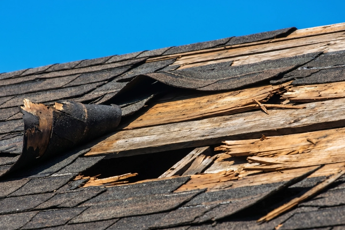 roof damage repairs